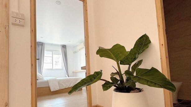 Une pièce avec un plancher en bois, une plante en pot aux feuilles blanches et un lit recouvert de draps blancs.