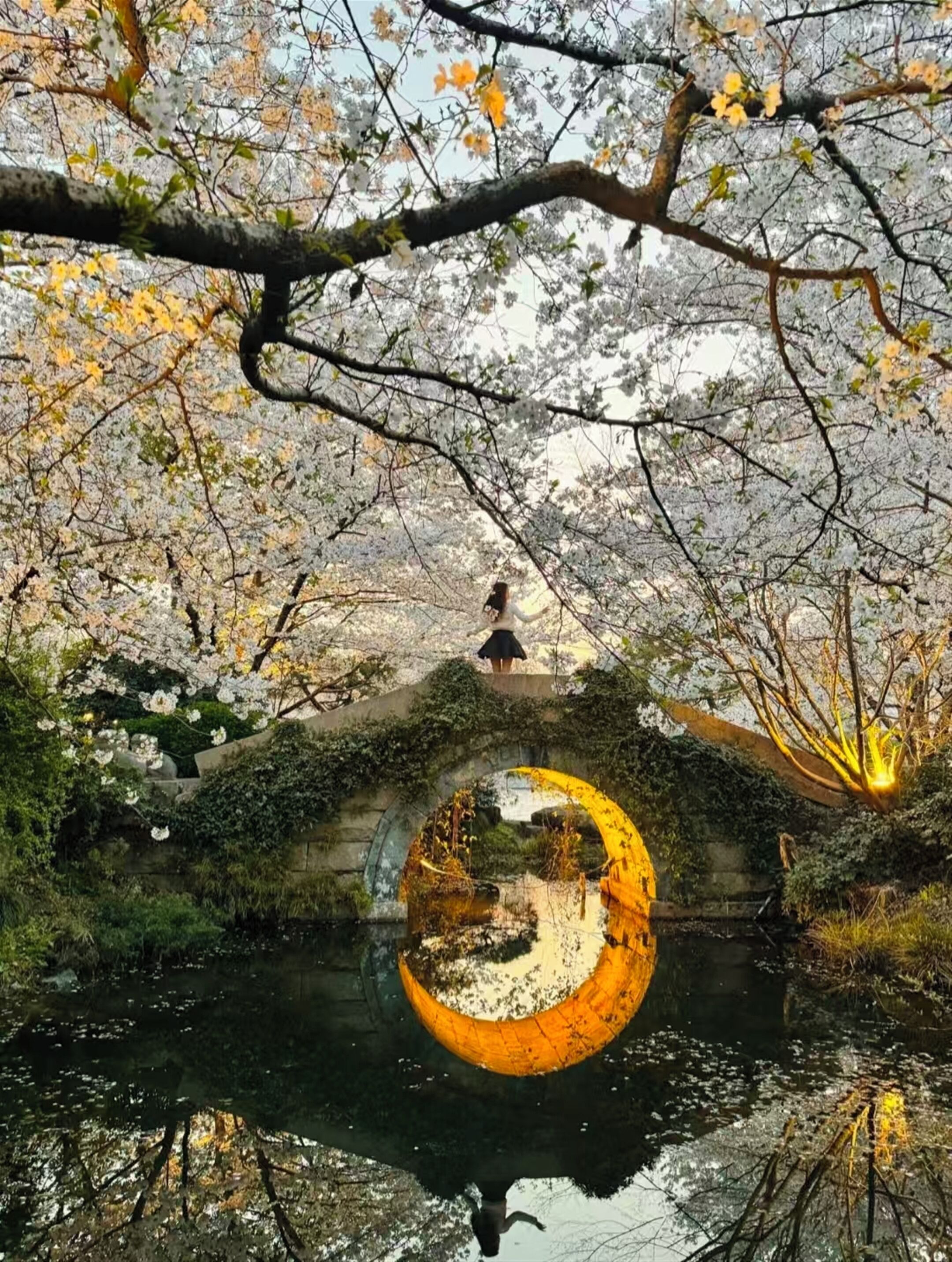 A serene outdoor scene with a bridge over a body of water, surrounded by trees with white blossoms.