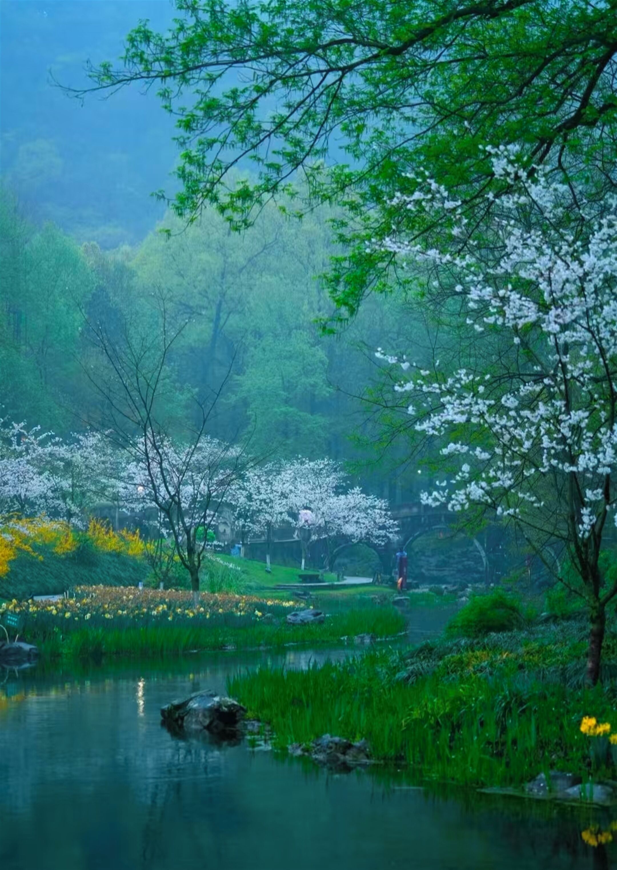 Paisagem serena com um lago, cerejeiras em flor e uma ponte.
