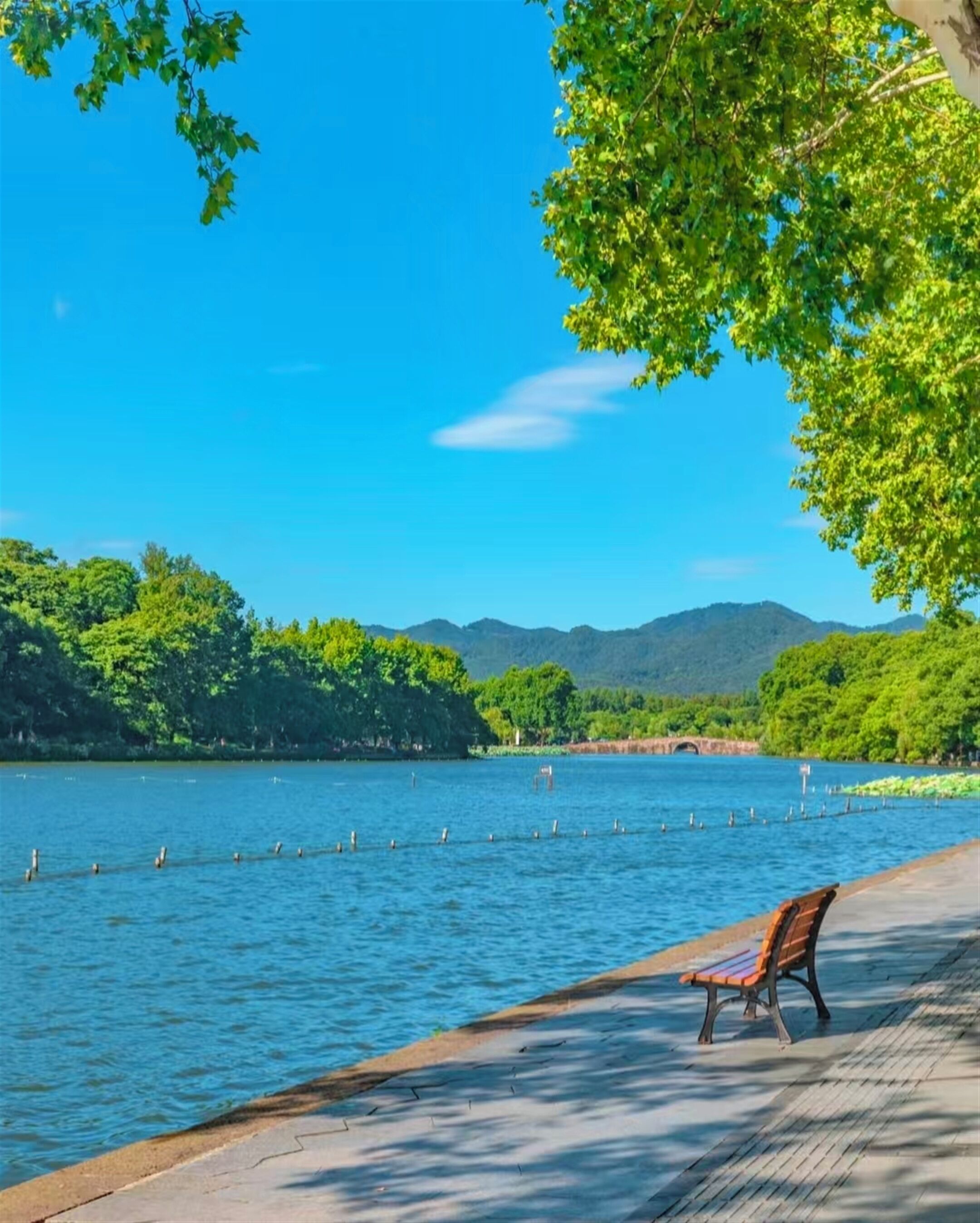 Un banco junto a un lago tranquilo con cielo despejado y montañas al fondo.
