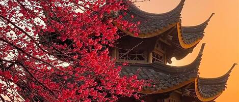 A traditional pavilion with a tiered roof structure, situated on a body of water, surrounded by a natural landscape.