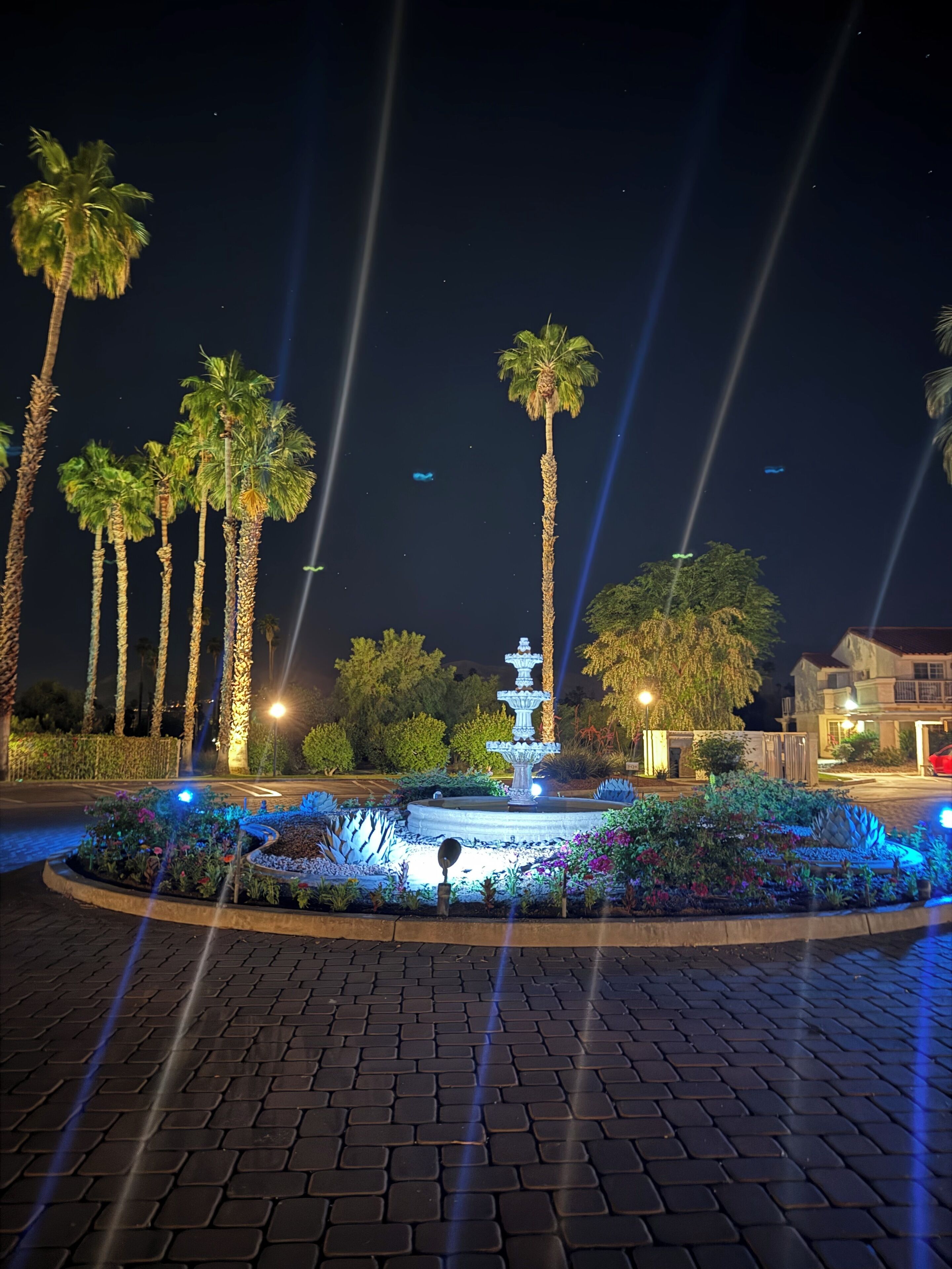 A nighttime view of a landscaped area with a central fountain, palm trees, and a paved walkway.