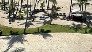 Una playa con palmeras y sillas de playa.