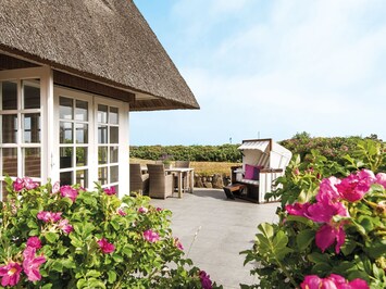 Terrasse mit Sylter Heckenrosen