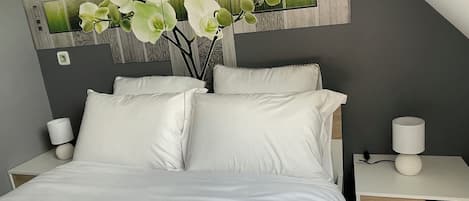 1 bedroom, WiFi, bed sheets