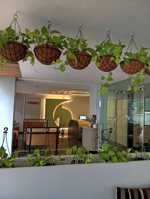 A modern reception area with hanging planters, a reception desk, and a seating area.