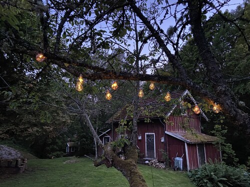 Charming Swedish cottage in dreamlike nature with lots of peace and quiet 