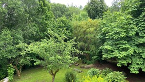 Un exuberante jardín con diferentes árboles y plantas en flor.