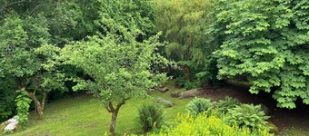 Charming Swedish cottage in dreamlike nature with lots of peace and quiet 