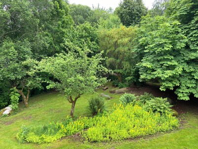 Charming Swedish cottage in dreamlike nature with lots of peace and quiet 