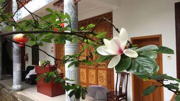 Un edificio tradicional con puerta de madera, mostrador de recepción y una planta grande con una flor destacada.
