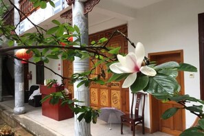 A traditional building with a wooden door, a reception desk, and a large plant with a prominent flower. - New Hotel Busan (Weishan)