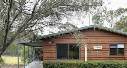Twin Tree Cabin 5 - 2 bedroom with 2 x queen beds