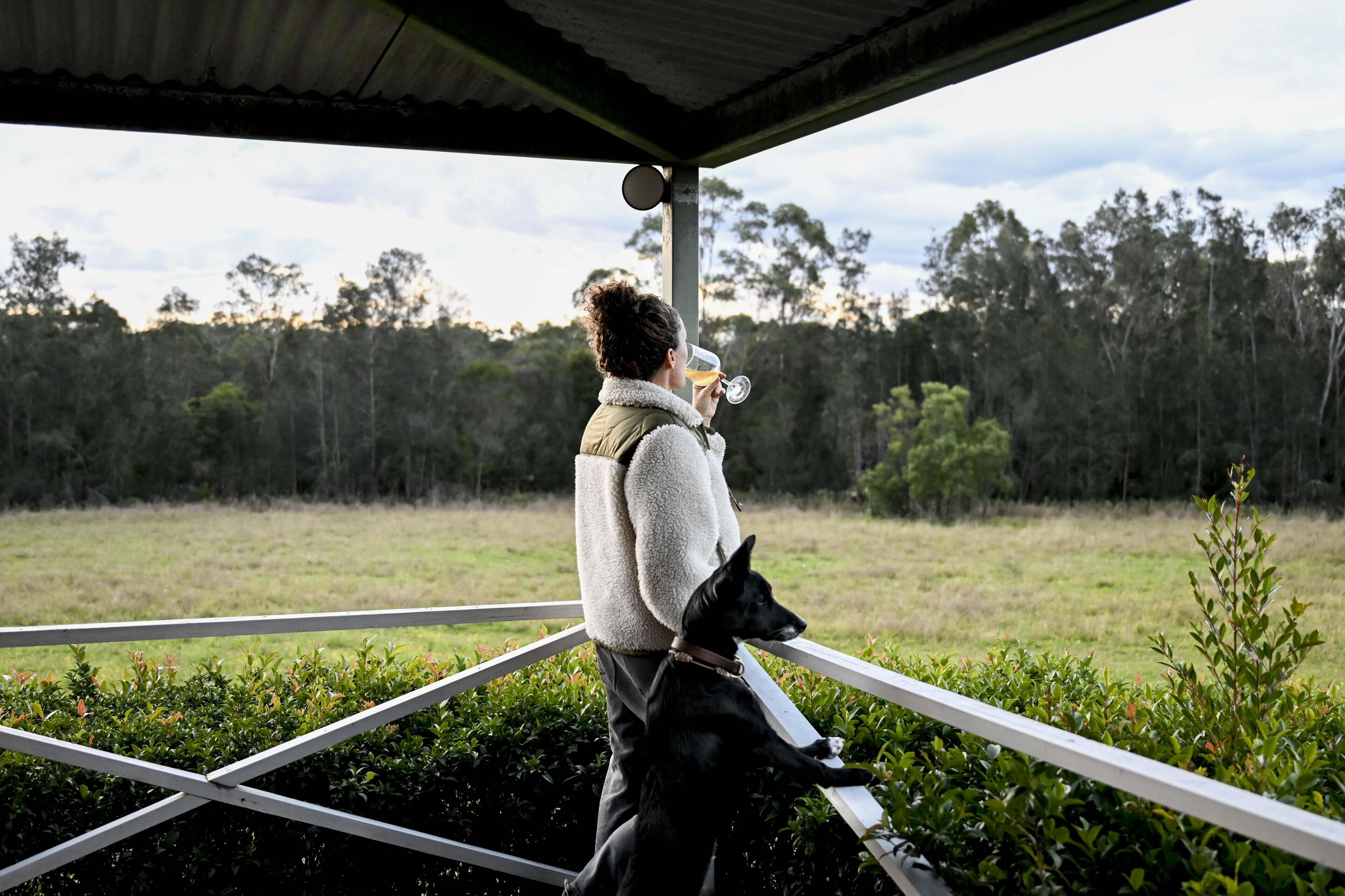 A person standing on a balcony with a dog, overlooking a grassy field and trees.
