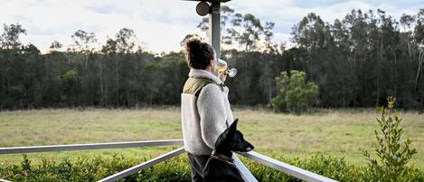 A person standing on a balcony with a dog, overlooking a grassy field and trees.