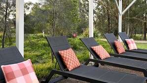 A row of outdoor lounge chairs with checkered cushions, set against a backdrop of greenery and trees. - Cedar Cabin 1 - 2 bedroom with 1 x queen and 1 King or 2 king singles + sofa bed (Pokolbin)
