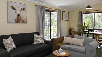 智能電視、DVD 播放機