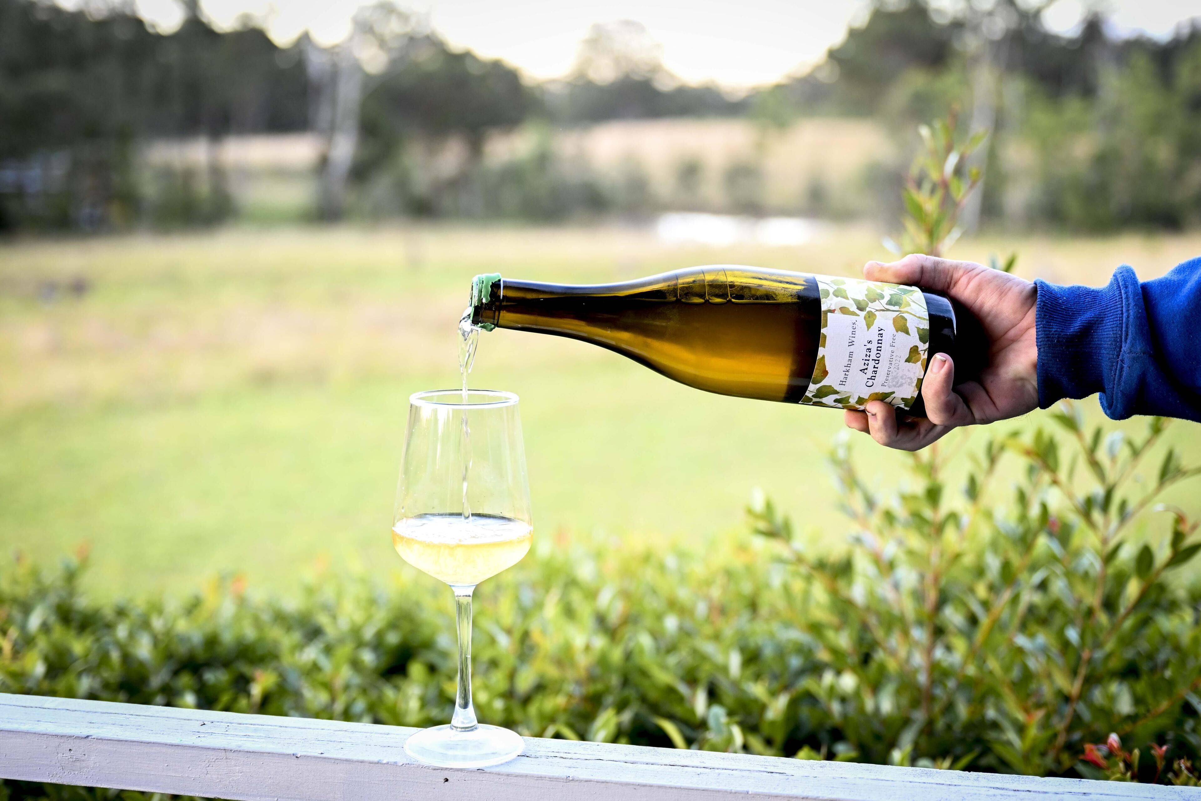 A hand pouring wine into a glass.