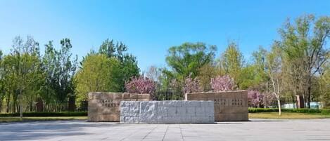 A spacious outdoor area with a paved floor, surrounded by trees and a stone structure.