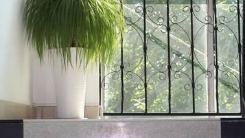 Una planta en maceta junto a una ventana con rejas decorativas de hierro.