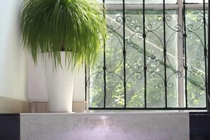 A potted plant next to a window with decorative iron bars. - Shuangqiao District Haoshen Hotel (Chongqing)