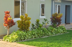 Un edificio con fachada verde, marcos de ventana blancos y un jardín cuidado con diversas plantas.