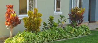 MIGINGO SUITES