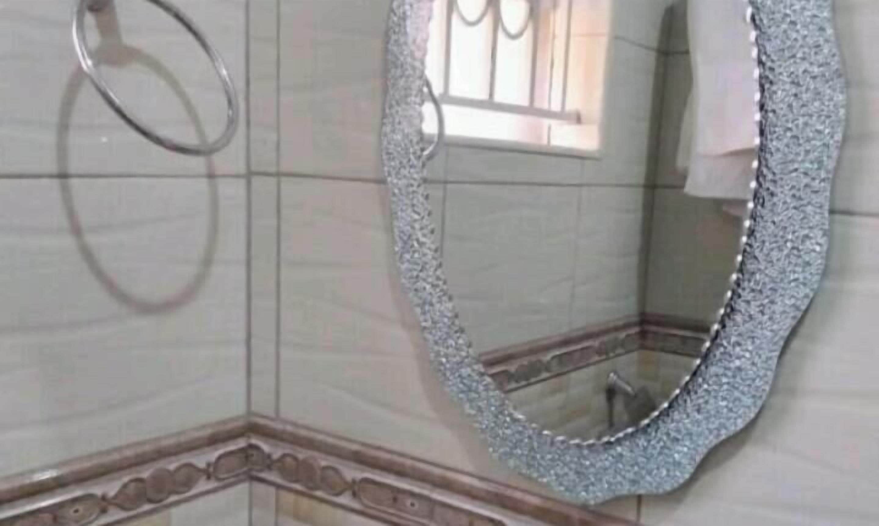 Un baño con un espejo grande, un perchero para toallas y un detalle decorativo.