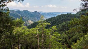 Un paisaje montañoso cubierto de bosques frondosos con pinos densos y un cielo despejado.