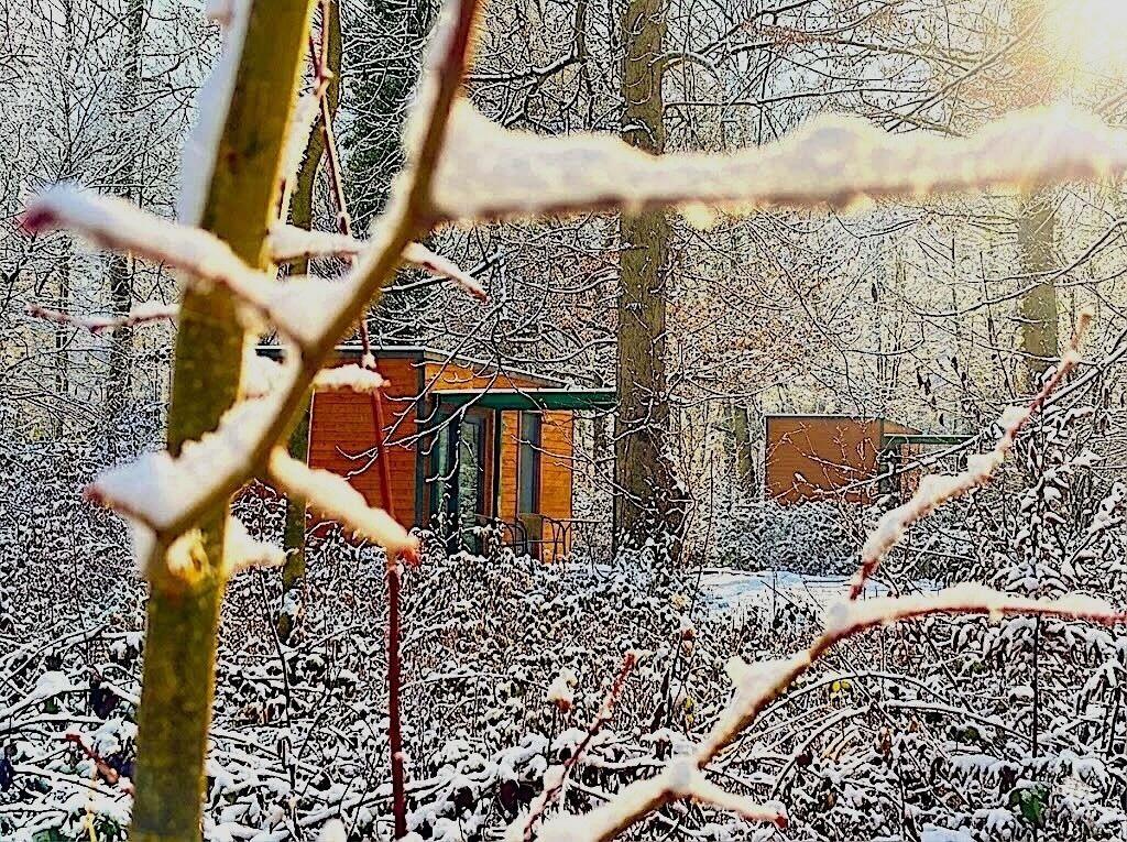 A building with a brick facade and a green roof, surrounded by snow-covered trees and branches.