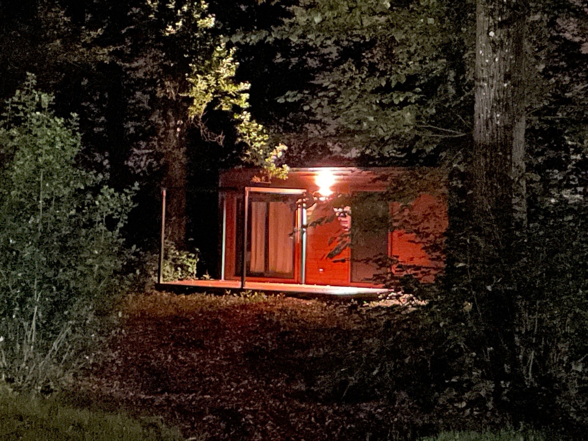 En liten, avskild byggnad med en glasdörr, omgiven av tät vegetation.