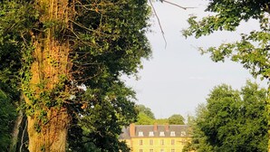 A large tree with ivy, a fenced field, and a building with multiple windows in the background. - Hôtel Les Lodges De Vaugrigneuse (Vaugrigneuse)