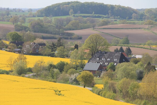 A rural landscape with fields, trees, and a house with a sloped roof. - Das Abendrote Haus (Suesel)
