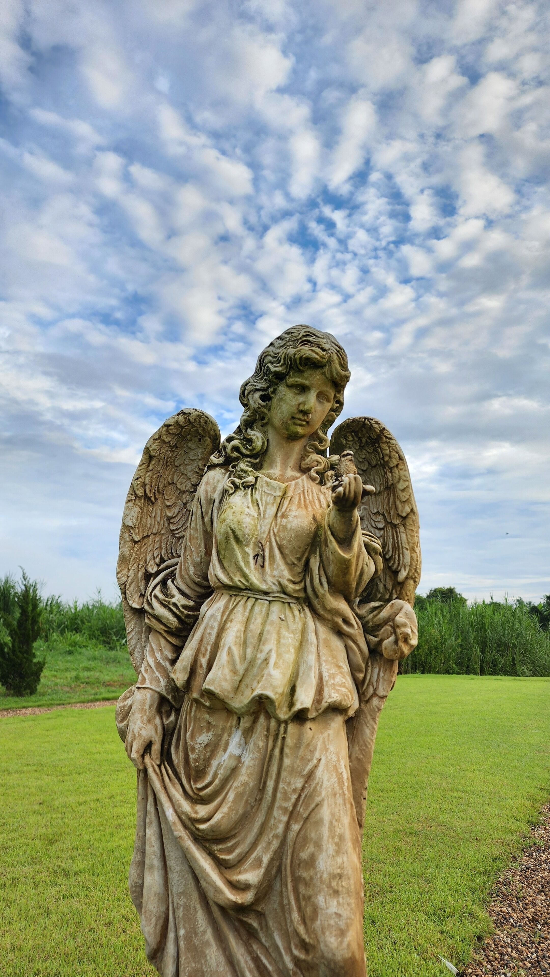 Eine Statue eines Engels mit Flügeln, stehend in einer grünen Wiese, im Hintergrund ein bewölkter Himmel.
