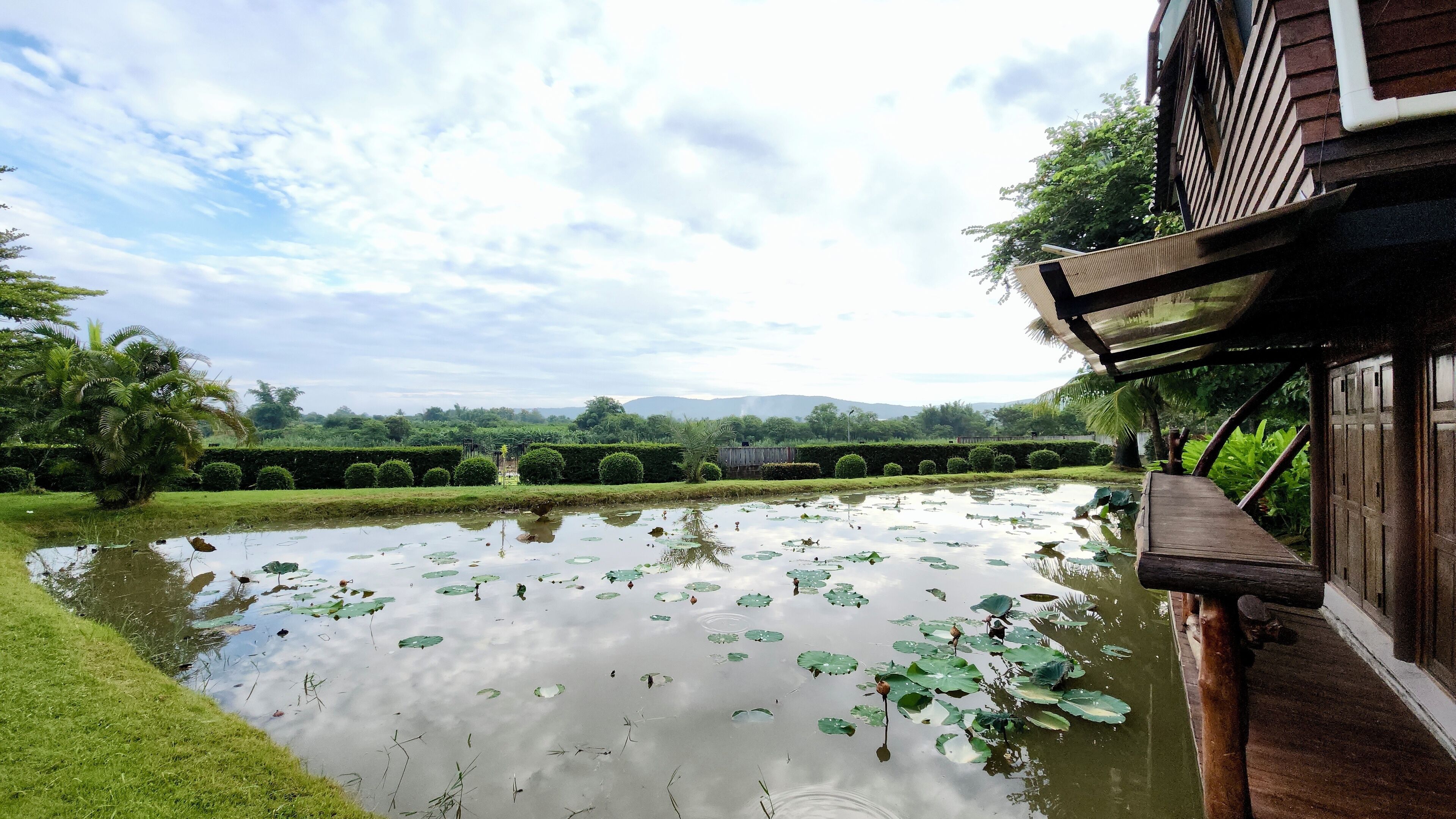 Cottage, 1 King Bed, Balcony, Hill View | Free WiFi