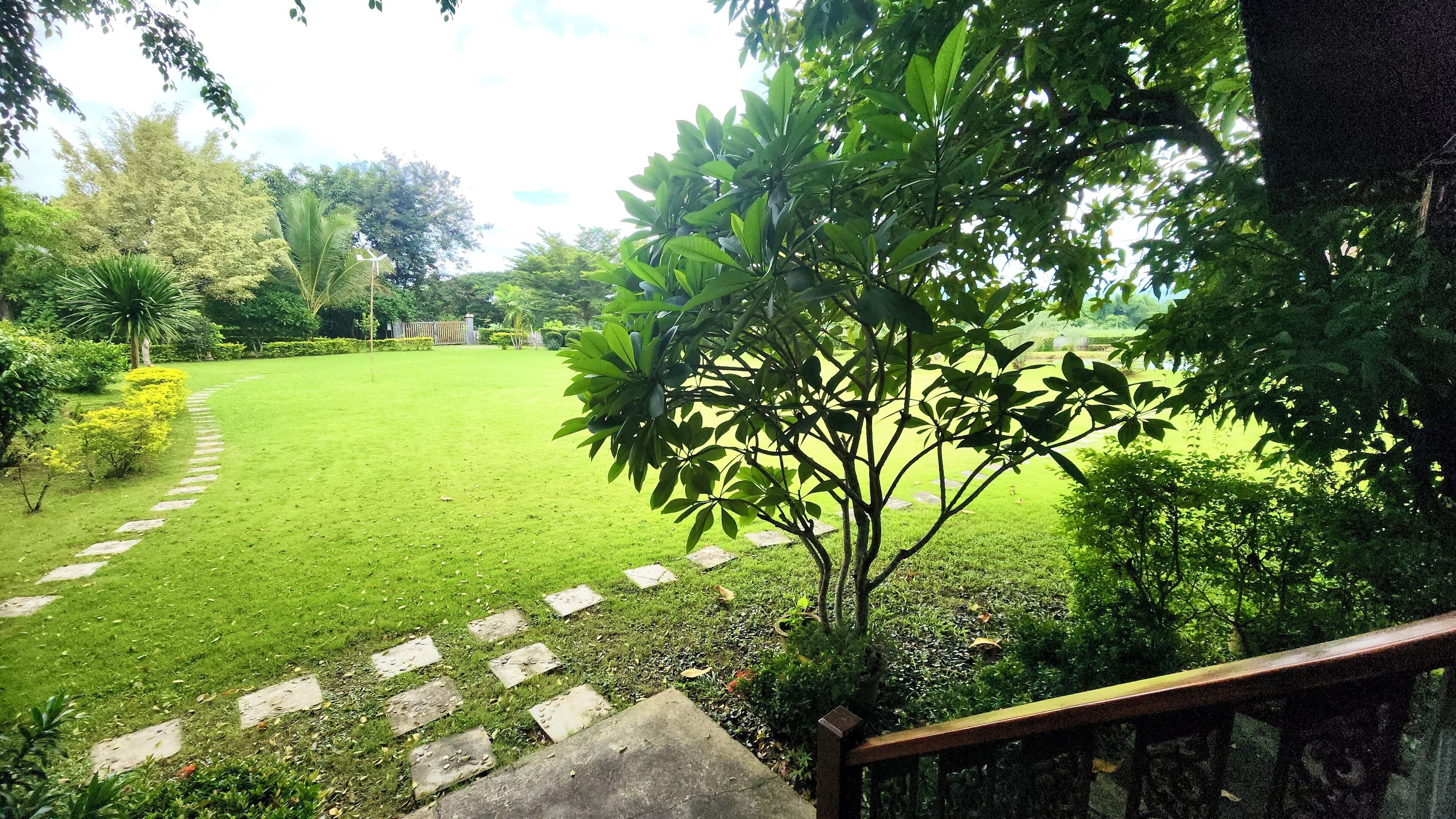 A lush garden with a stone pathway leading through it.