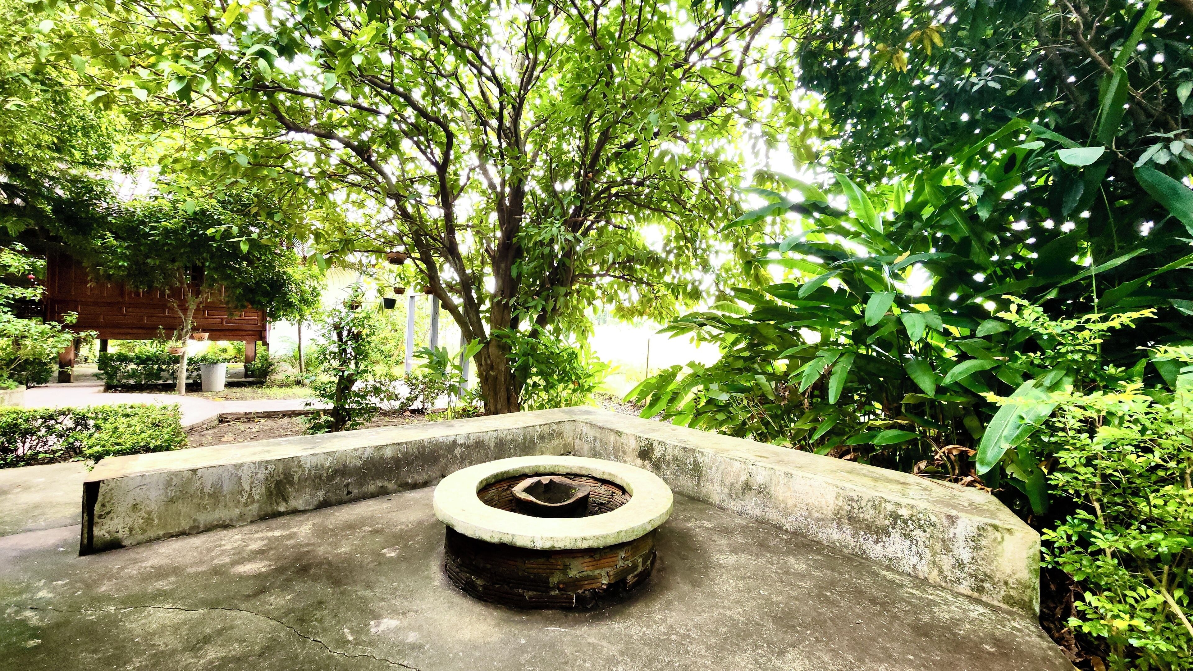 A concrete structure with a circular depression, surrounded by lush greenery and trees.