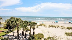 A beach with palm trees, a sandy path, and beach umbrellas. - Oceanfront | 3 Decks, Walk to Grand Pavilion Pools & Boardwalk (Isle of Palms)