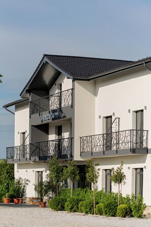 Exterior - Pensiunea Razada (Lugoj)