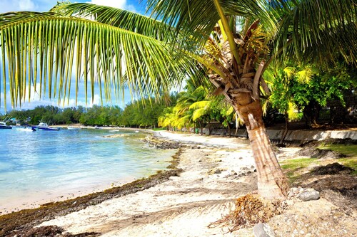 ☀️À 300m from the beach! Comfort bungalow with WIFI, GARDEN, CLIM, SWIMMING POOL (4) ☀️