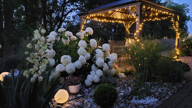 A gazebo with string lights, surrounded by white hydrangea bushes and various potted plants.