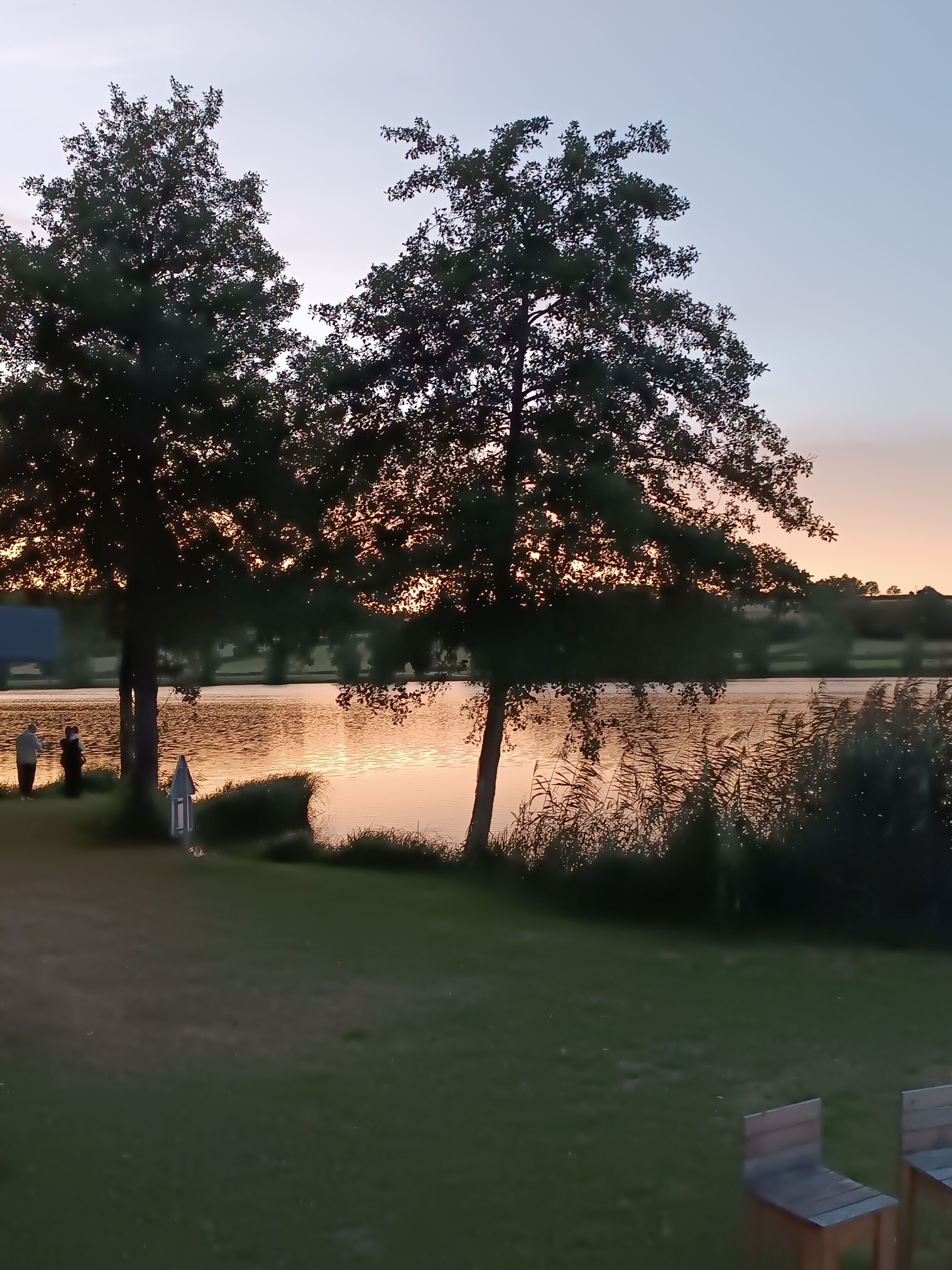 Un cadre paisible au bord d’un lac, avec des arbres et une étendue d’eau calme.