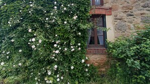 Un bâtiment en pierre doté d’une petite fenêtre et d’une porte, entouré d’un feuillage verdoyant et dense et de fleurs blanches.