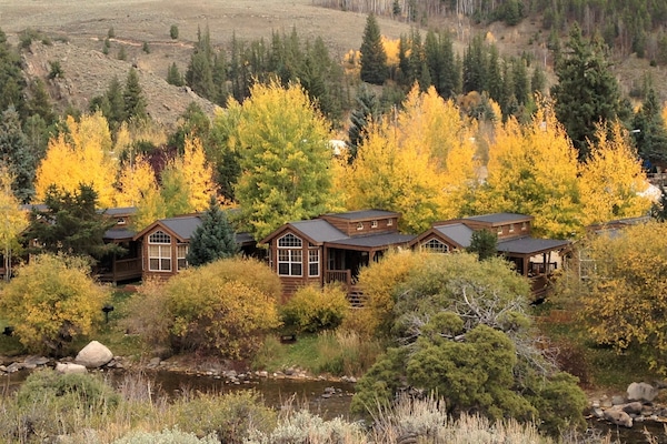 Fall view