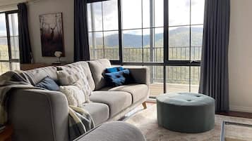 Smart TV, fireplace, books