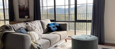 TV connectée, cheminée, livres