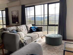 Smart TV, chimenea y libros 