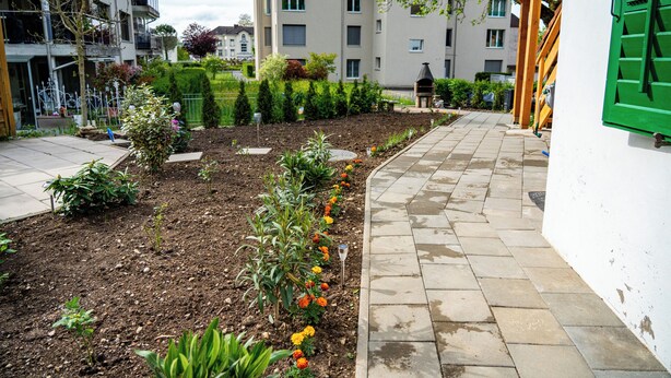 Un espace jardin agrémenté de diverses plantes et fleurs, un chemin pavé et des immeubles d’habitation en arrière-plan.