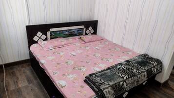 32-inch flat-screen TV with satellite channels, fireplace, books