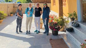 Un espacio al aire libre cubierto con techo de madera, escalones de piedra y plantas en macetas.